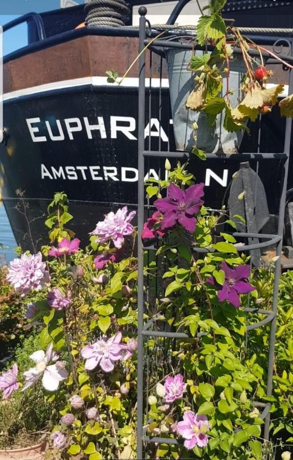 Wheelhouse Euphrate Houseboat Bed and Breakfast Diemerbrug Eksteriør billede